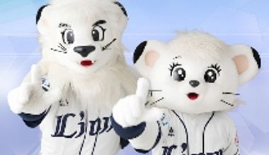 11月以降の方【Happy Blue Lions Wedding】趣味の野球も両親への感謝も叶う!