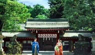 2026年7月~12月【60名】プラン