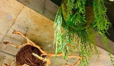 〈40名122万円〉◆必要なアイテムは全部コミ☆オールインワンお披露目会プラン◆