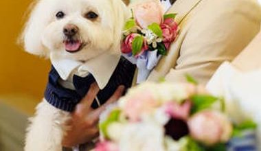 1日1組限定 ペットと一緒の挙式&披露宴が叶うWedding