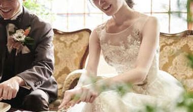 【2026人気の秋】Best Autumn Plan