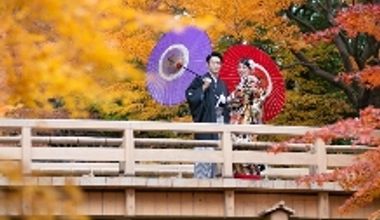 ≪もみじプラン/2026年10~12月≫紅葉愉しむ◆50名256万円【最大65万円ご優待】