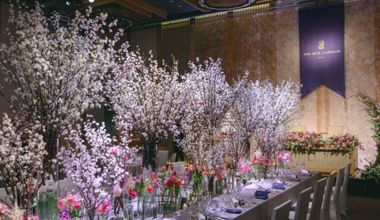 【2026年3月~6月 30名~100名】Spring Plan