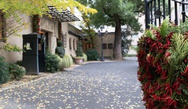 大人のためのクリスマスW*贅沢に過ごす【’26年クリスマスプラン】