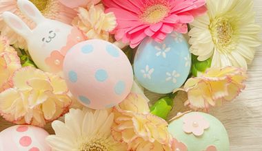 ≪たまご&ひよこプラン≫マタニティ | お子様連れ*プラン