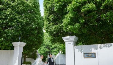 【2027年3月~6月】春限定_新緑と水音のTOPシーズン