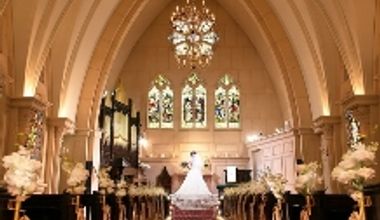 【リニューアル記念特別プラン】50名様の結婚式が273万円→期間限定で163万円に!