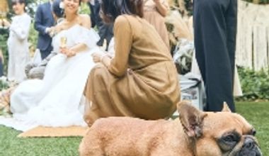 【少人数婚:1軒目来館が更にお得】最大28万円+αご優待◇27年1~2月までのお得な限定プラン!