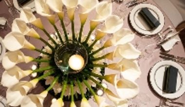 【2026年3月~5月のご婚礼ご検討の方へ】40名283万円プランSpring Collection