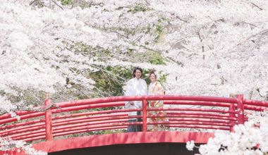 【2026年3~5月限定】挙式+40名会食《今だけ挙式無料!》