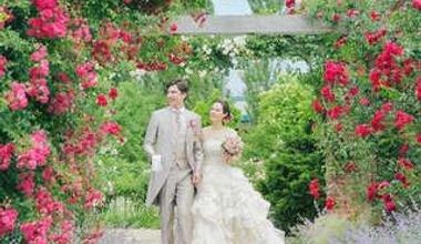 大人気!薔薇が咲き誇るガーデンでフォトウエディングを