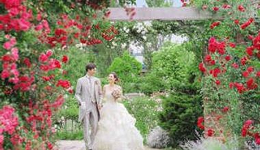 ~Rose Wedding~人前式挙式プラン