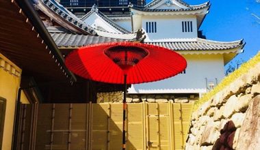 【30名様のお見積り例】近しい方々で祝宴。神前挙式+披露宴プラン