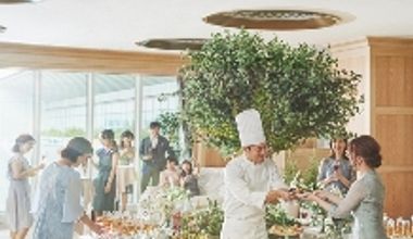 【サマープラン】2026年7~8月★80名225万~ 夏日程を先取り♪