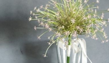 【大人数*70名/挙式+披露宴】IWAI STYLE #70 <1年半以内>