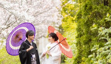 【26年3~6月春限定Plan*】緑×桜×光のこだわりシーズン☆絶好のロケーションをお得に◎