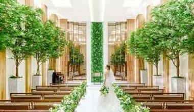 ◆半年以内の結婚式に◆10大特典プラン【50名】166万円