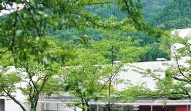 【20名様 食事会のみ】