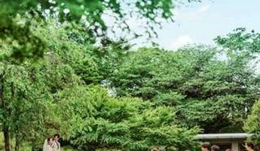 『27年6月~9月挙式/披露宴プラン』<人前式/キリスト式>