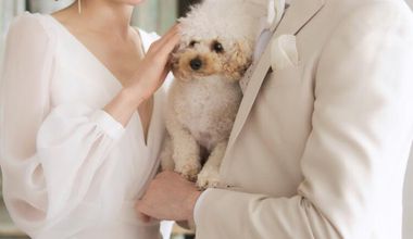 【ペット婚プラン】全館参加OK◎大切な記念日もペットと一緒に◇ペット用コース料理プレゼント