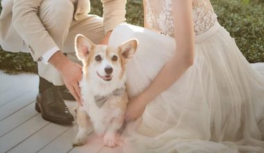 【新登場!ペット婚プラン】全館OK◎挙式~披露宴までずっと一緒が叶う◇大切な記念日もペットと一緒に