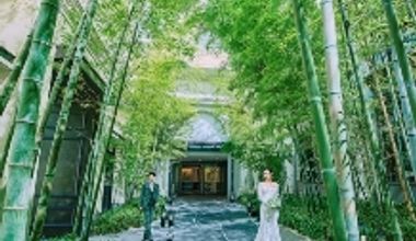 【27年3~8月挙式限定*最大73万円優待】竹林美×洗練空間で叶う上質ウェディング PLAN