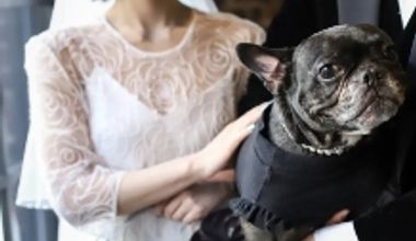 【WITHペット婚】大切な愛犬とずっと一緒に過ごせるプラン