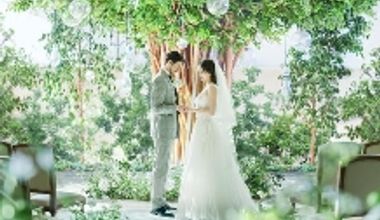 \直近半年プラン/*26年6月まで限定◆80名410万円⇒210万円!人気の春シーズン完売間近!