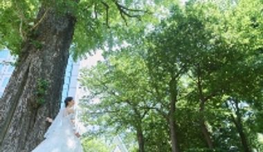 大人気シーズンプラン◆26年10月~12月限定【60名285万円】53万円特典付