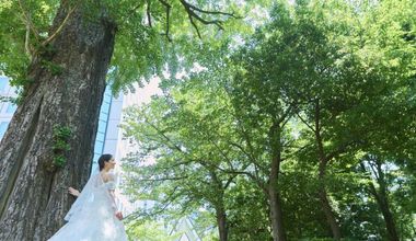 夏限定プラン◆27年7月・8月限定【60名285万】53万円特典付き