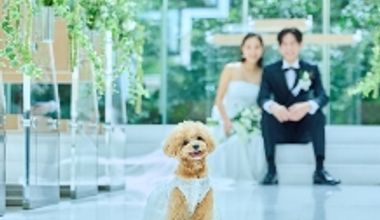 【リングドッグ×ホテル婚】愛犬と叶える上質ホテルウエディング