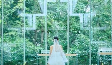 【夏プラン】2026年6~8月限定*最大42万円相当ご優待《60名352万円》