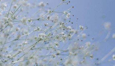 【残り1枠】26`春特別プラン