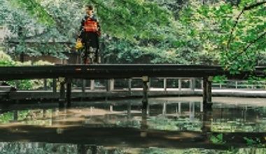 【静岡和婚プラン】静岡浅間神社で心に残る結婚式を