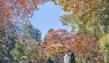 【当館人気No.1*2026年9月~12月挙式】日本三名園の偕楽園の景色を楽しむオータムプラン♪