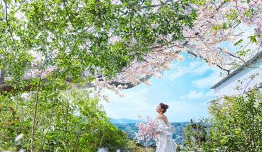 《2027年3月以降★早割プラン開始》希望日優先案内★2027年早割プラン\100名★約346万最大134万優待/