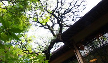 【2026年4月まで限定】シンプル披露宴プラン(20名様)