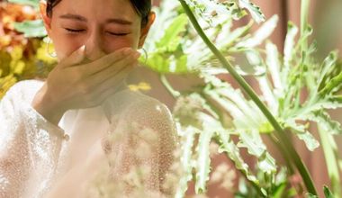 【期間限定】26年9月~11月のAUTUMN PLAN|3月31日迄申込