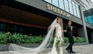2026年10・11・12月【3rd Anniversaryプラン】 60名 276万円