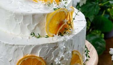 【ご家族向け】少人数ウェディングプラン