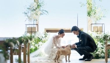 ペット参加OK|高層階貸切で自由度の高い結婚式が叶う