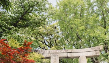 8大特典付【26年10・11月】神前式&披露宴プラン(20~60名様)