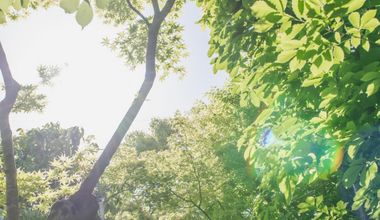 【1年先*早割り7大特典付き♪】挙式&披露宴プラン(20~60名様)