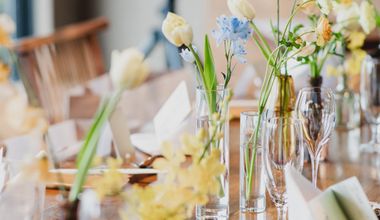 【春プラン/2026年3~6月】60名220万円