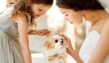 【ペット婚プラン】一軒家貸切でペットと一緒に過ごせる結婚式