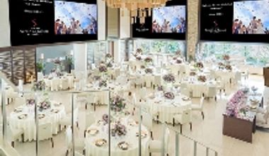 【リニューアル記念/オールインプラン】60名→総額より66万円引き!!