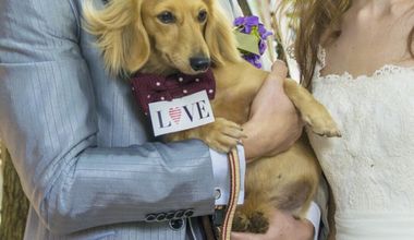 【いつでもご利用可能】大切な家族と結婚式が叶うペット婚プラン