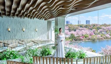 【27年3月〜5月 春婚】スプリングプラン*桜彩る人気シーズン