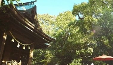 【30万円】神社挙式+写真婚プラン