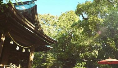 【38万円】神社挙式+写真婚プラン